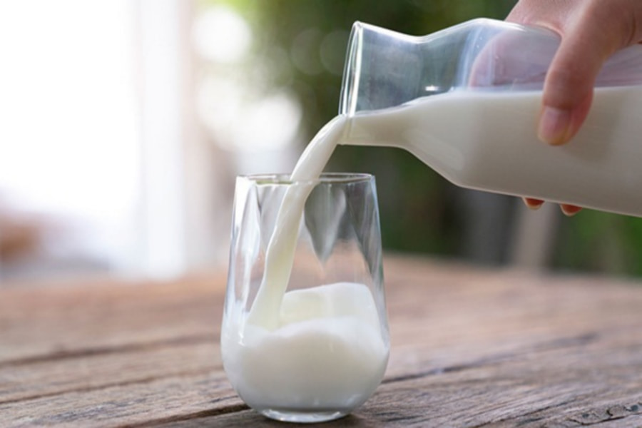 Cách chọn các loại sữa